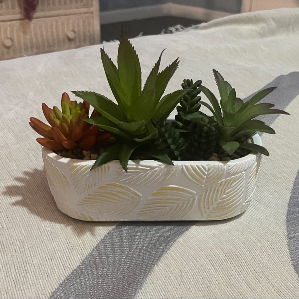 White Planter with Green and Red Succulents with Lady bug accents
